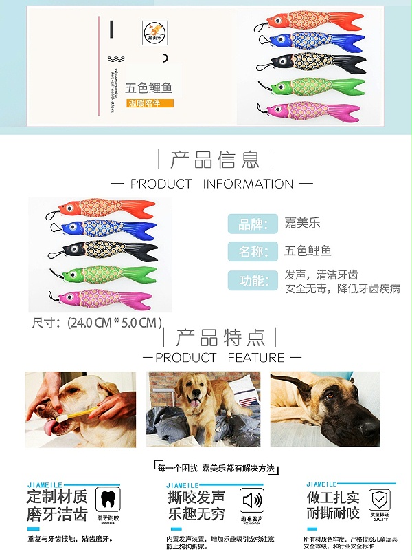 五色鲤鱼