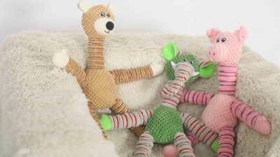 南通宠物玩具