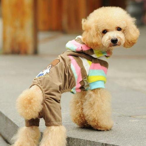 狗衣服