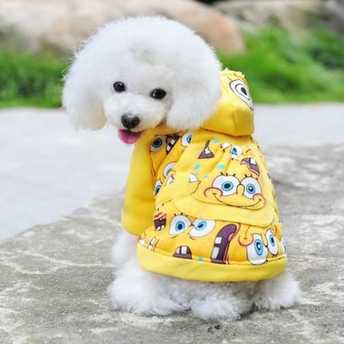 狗衣服