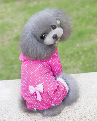 狗衣服