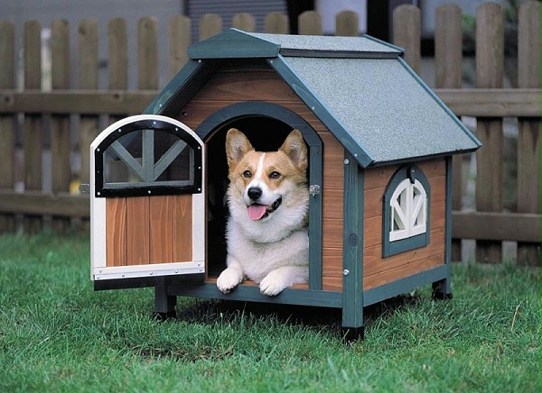 狗的玩具
