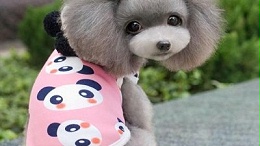 狗衣服生产厂【嘉美乐】质量保障