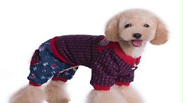 快来动手为狗狗做宠物衣服吧_嘉美乐