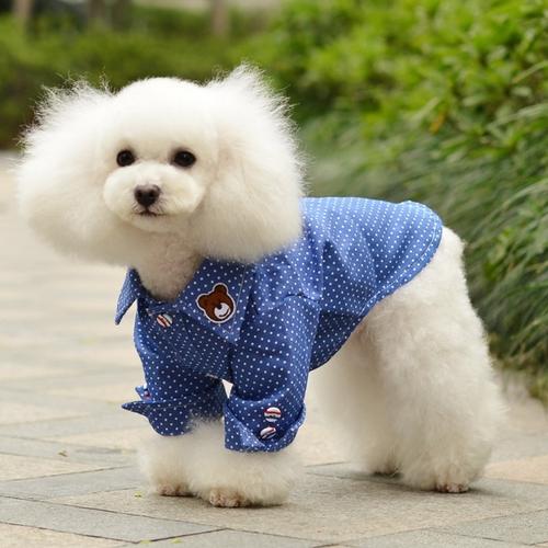狗衣服