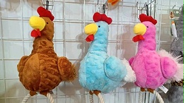 宠物玩具厂—哪些地方不允许携带宠物上车你知道吗？【嘉美乐】