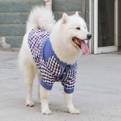 狗衣服