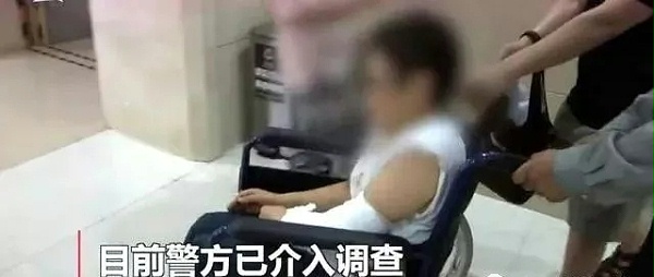 狗牵引绳批发