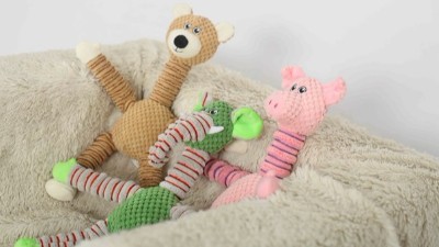 扬州宠物玩具—新手小白，等你来【嘉美乐】