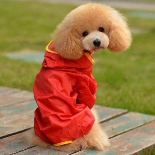 狗衣服