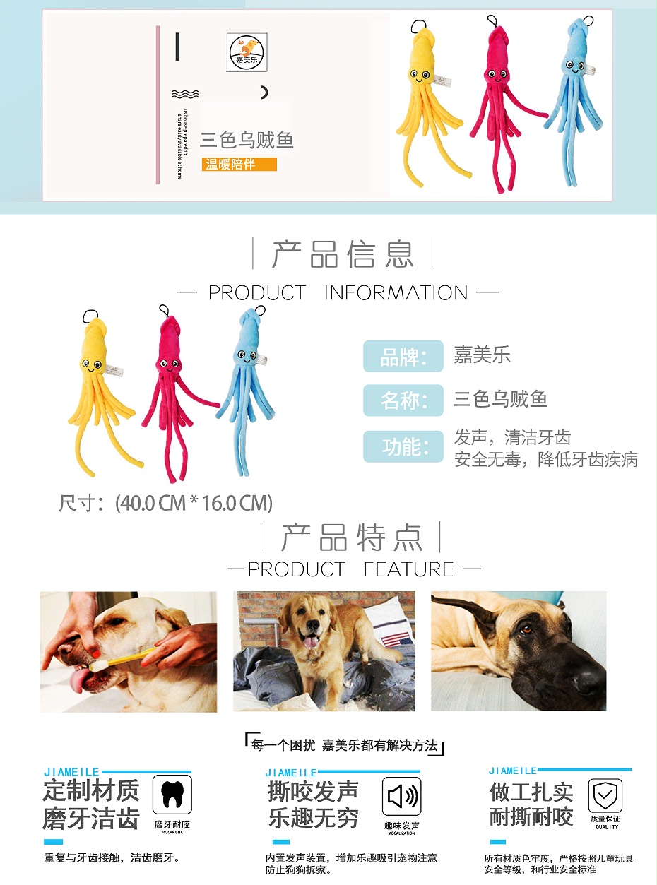 三色乌贼鱼