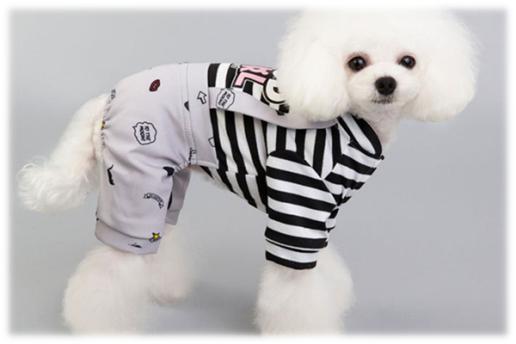 狗衣服批发哪家便宜