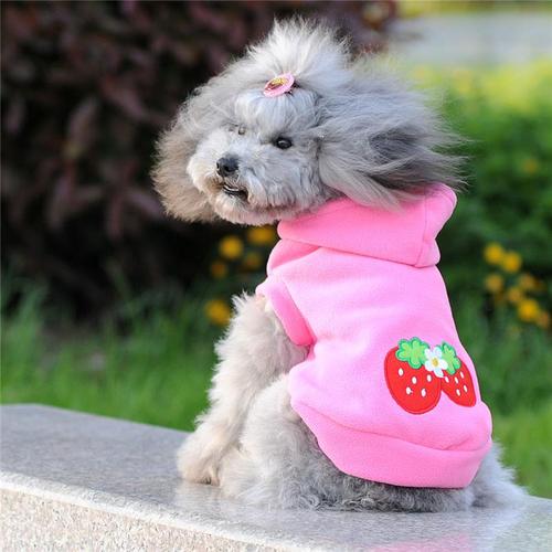 狗衣服