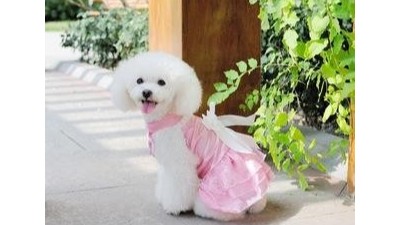 狗衣服厂家【嘉美乐】宠物狗衣服功能比外观重要