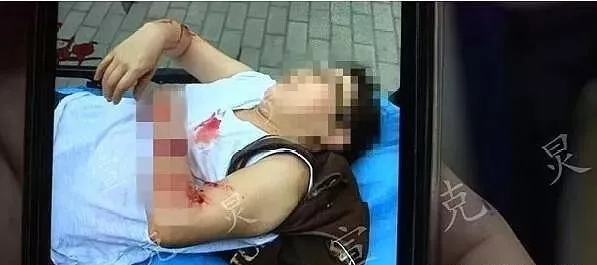 狗牵引绳批发 狗牵引绳批发